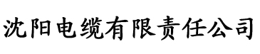 国产精品资源在线播放电缆厂logo